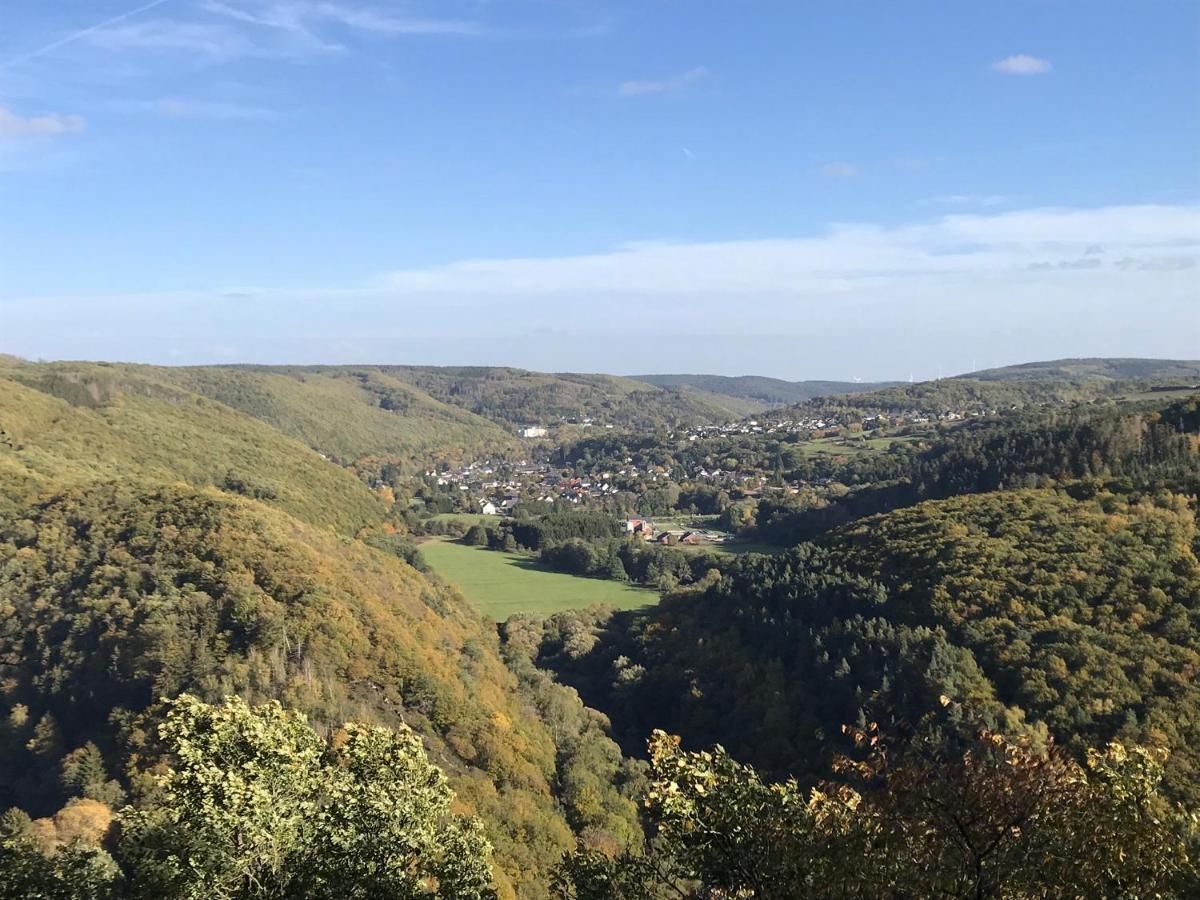 Villa Holgenbach - Penthouse- Und Ferienwohnung Im Nationalpark Eifel شليدن المظهر الخارجي الصورة
