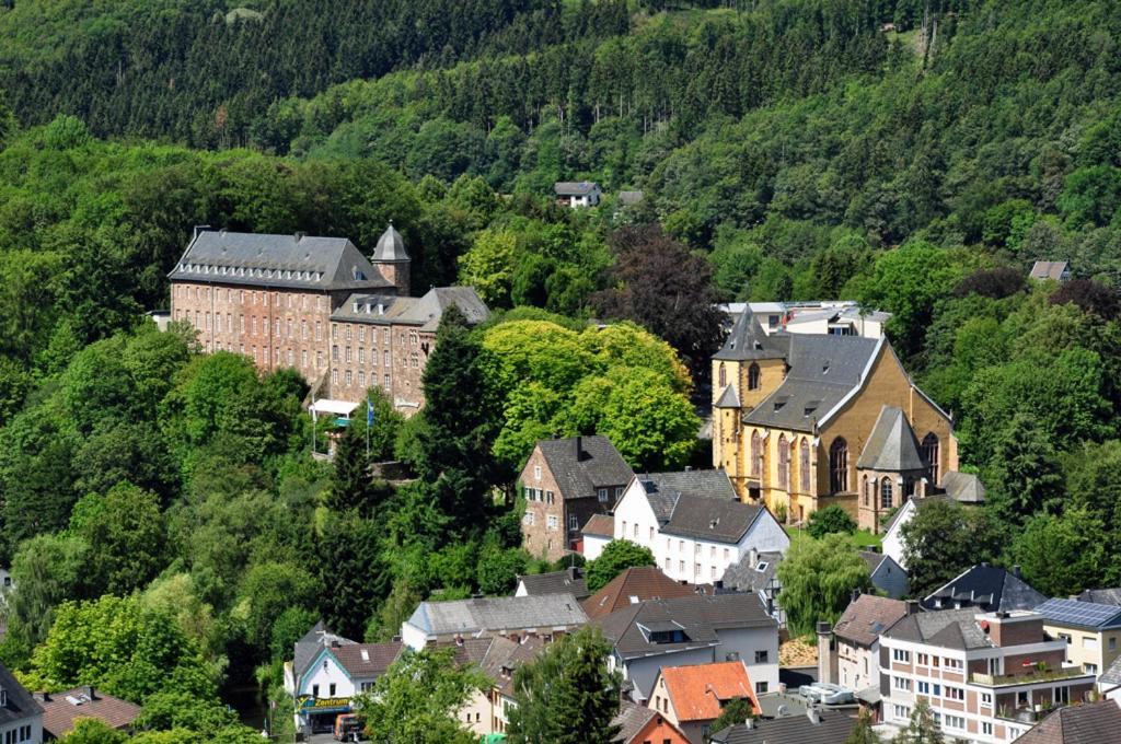 Villa Holgenbach - Penthouse- Und Ferienwohnung Im Nationalpark Eifel شليدن المظهر الخارجي الصورة