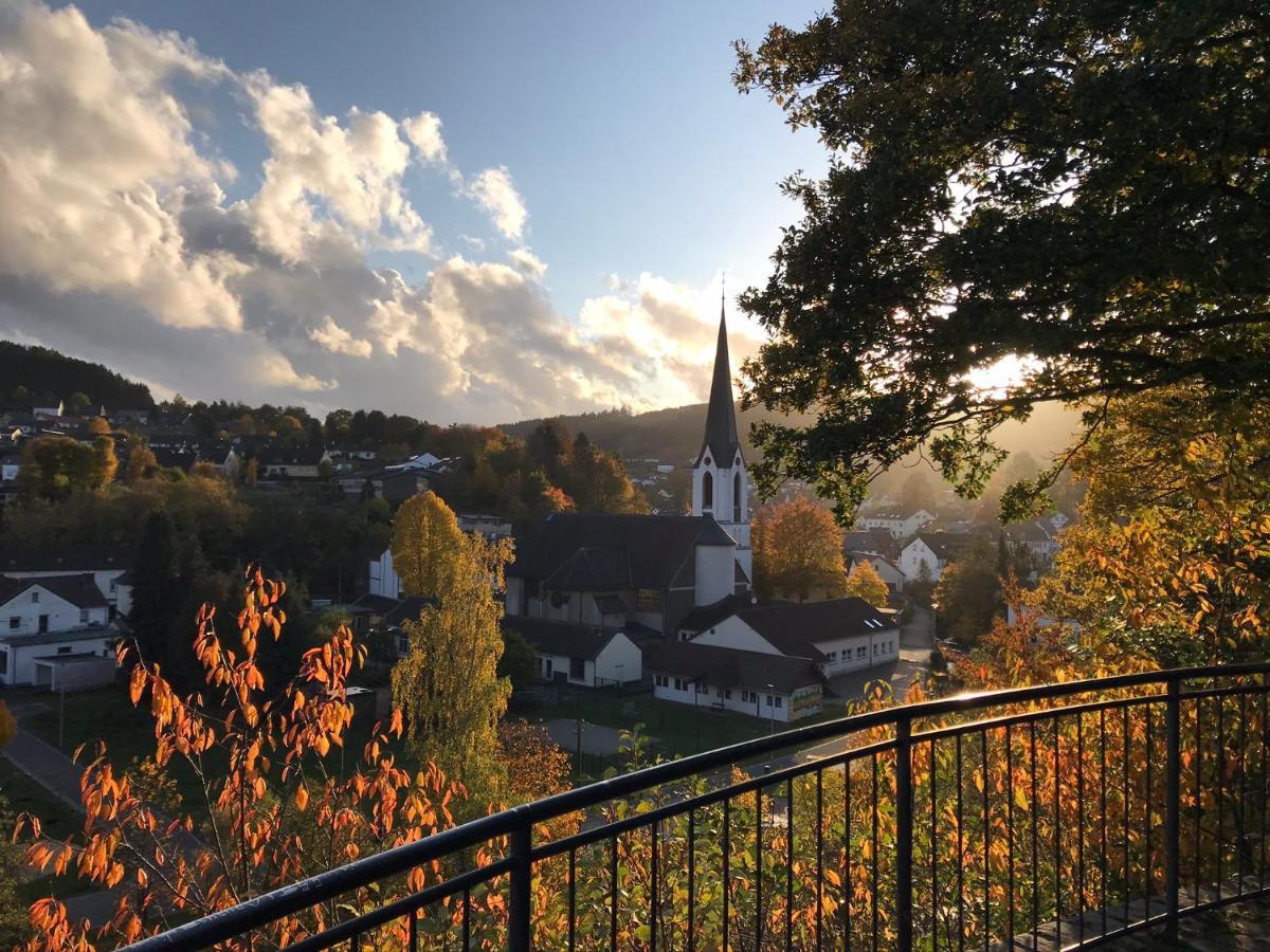 Villa Holgenbach - Penthouse- Und Ferienwohnung Im Nationalpark Eifel شليدن المظهر الخارجي الصورة