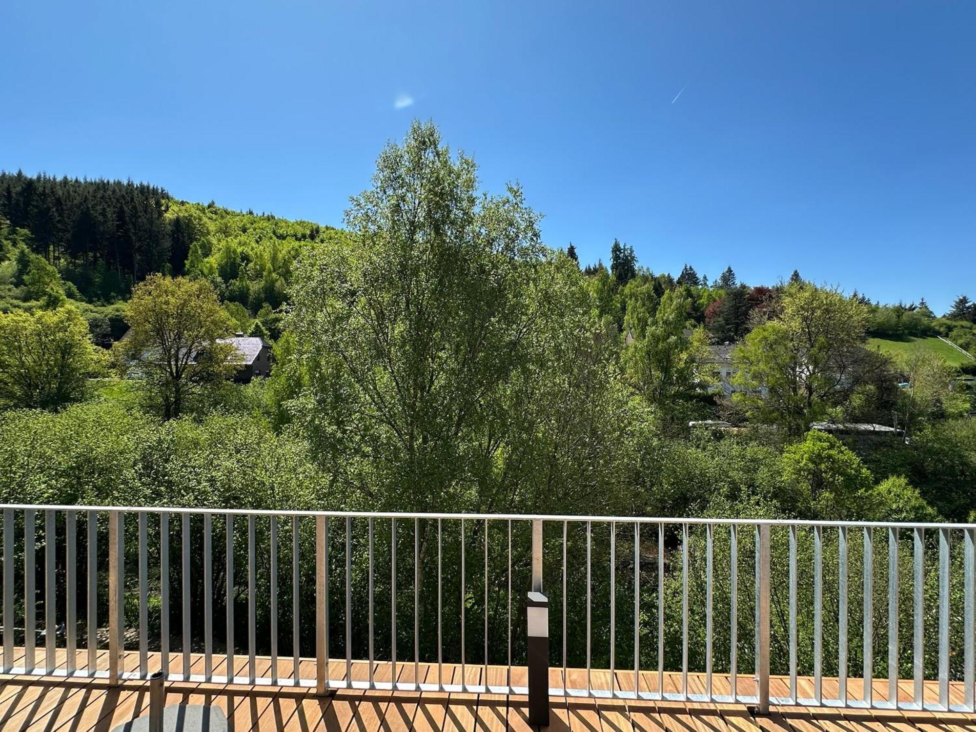 Villa Holgenbach - Penthouse- Und Ferienwohnung Im Nationalpark Eifel شليدن المظهر الخارجي الصورة