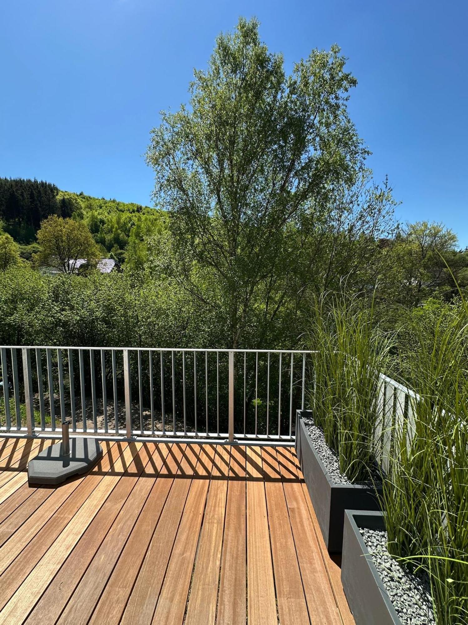 Villa Holgenbach - Penthouse- Und Ferienwohnung Im Nationalpark Eifel شليدن المظهر الخارجي الصورة